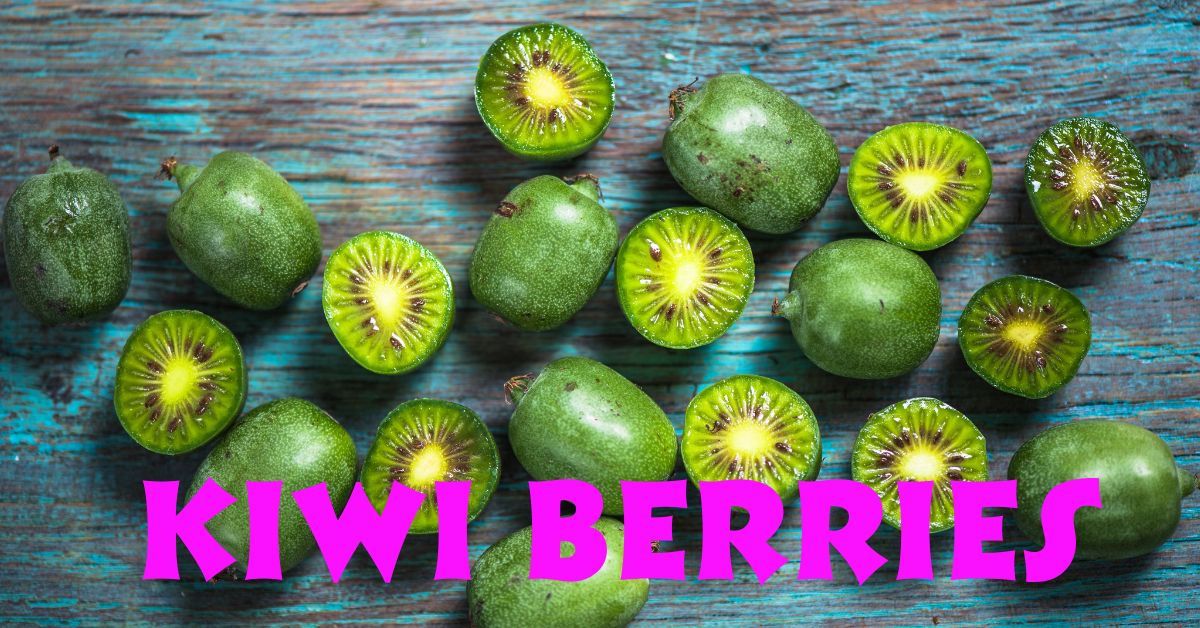 Kiwi Berries: A Comprehensive Guide 