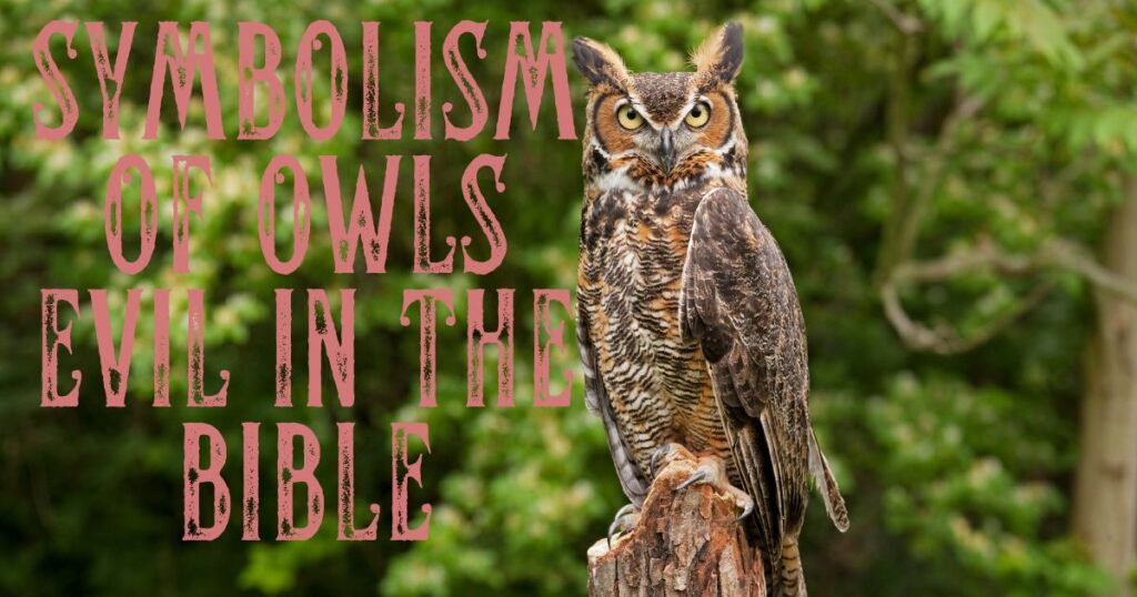 Are Owls Evil in the Bible (2)