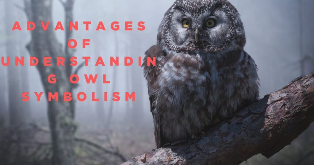 Are Owls Evil in the Bible (3)