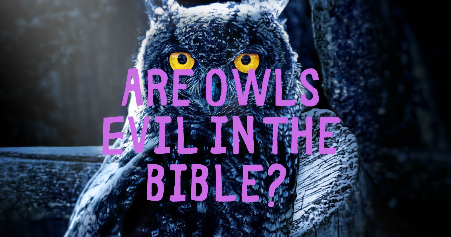 Are Owls Evil in the Bible?