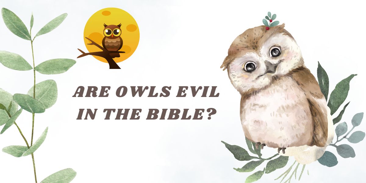 Are Owls Evil in the Bible?